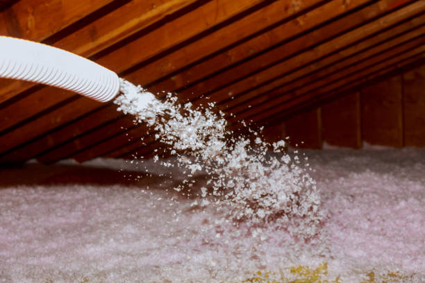 Best Energy-efficient Insulation  in Wabash, IN